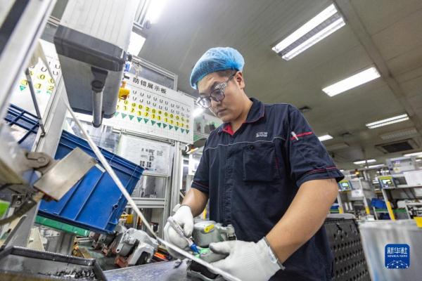 新华全媒+·新时代中国调研行·长江篇丨长江经济带：打造新能源汽车产业集群