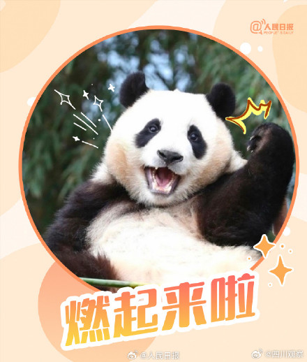转发收藏！熊猫加油表情包来啦