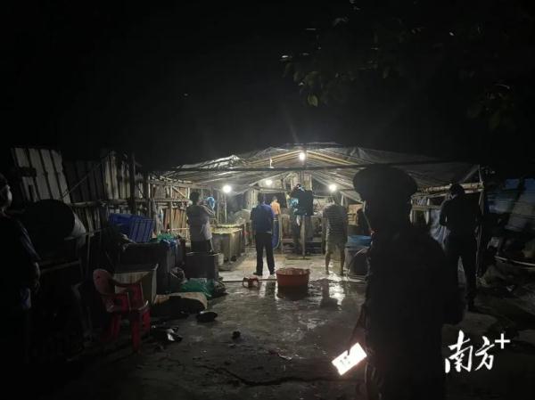 污水横流、隐匿山林，记者深夜暗访活禽私宰点发现……