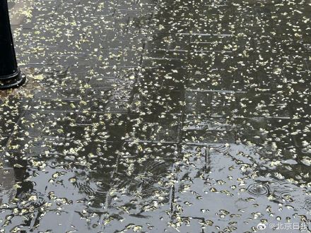 北京多家公园景区因暴雨临时关闭