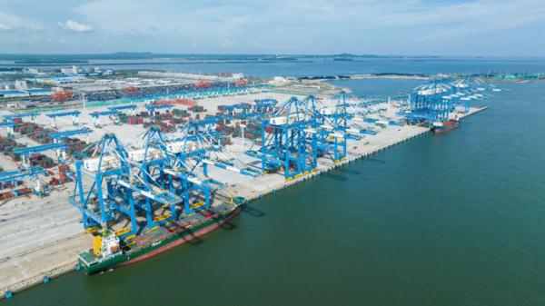 今年榴莲便宜了?原因可能和它有关 今年榴莲便宜了?原因可能和它有关