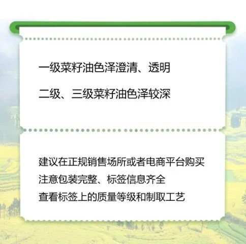 菜籽油该选压榨法还是浸出法？“现榨”“土榨”有啥说法？事关一日三餐