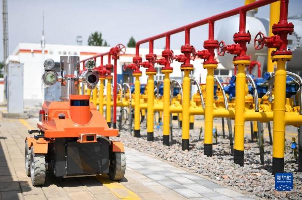 高质量发展调研行丨我国规模最大整装气田 数智化建设提质增效