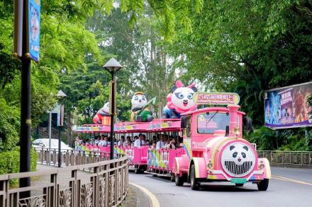 全球唯一大熊猫三胞胎9岁生日 全球唯一大熊猫三胞胎9岁生日