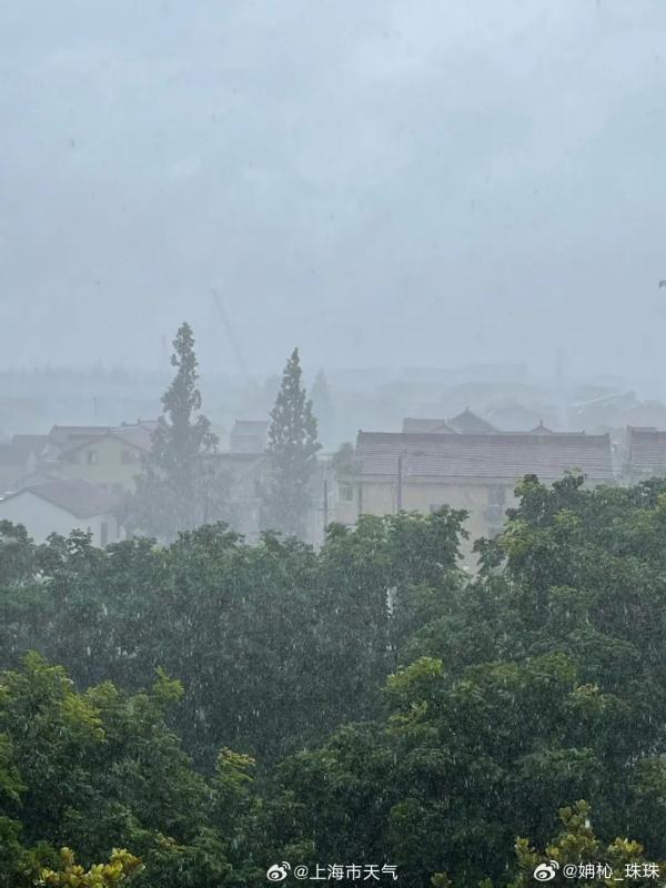 上海人注意！此刻，三预警高挂：暴雨+雷电+台风