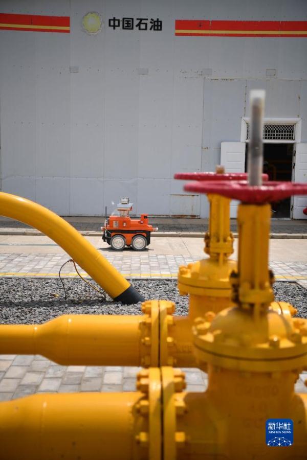 高质量发展调研行丨我国规模最大整装气田 数智化建设提质增效