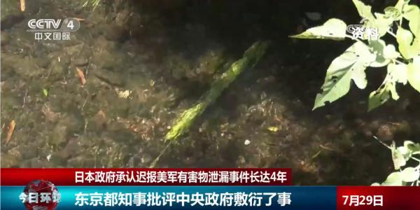 长达4年!日本政府承认了 长达4年!日本政府承认了