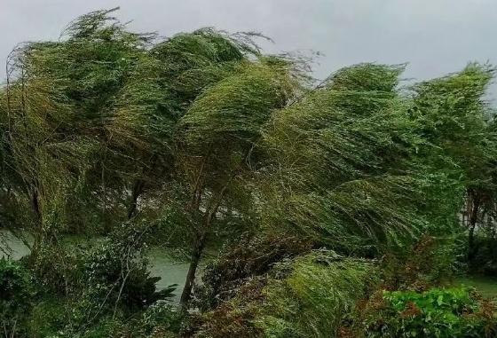 “杜苏芮”残余环流北上,对辽宁影响仍未结束 “杜苏芮”残余环流北上,对辽宁影响仍未结束