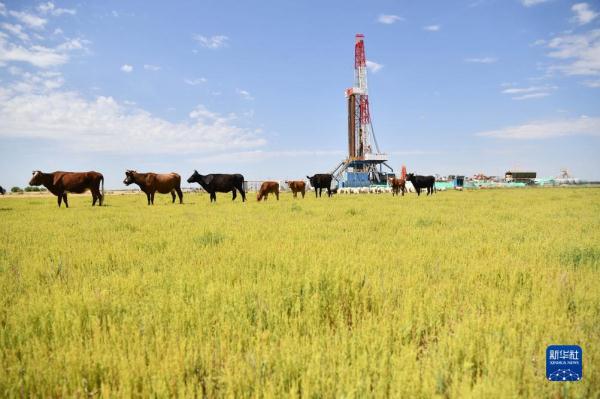 高质量发展调研行丨我国规模最大整装气田 数智化建设提质增效