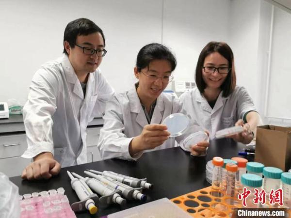 植物如何启动受精恢复？中国科学家发现新机制破解百年谜团
