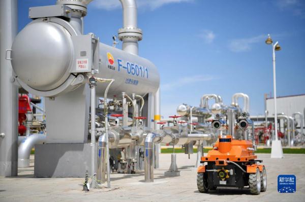 高质量发展调研行丨我国规模最大整装气田 数智化建设提质增效