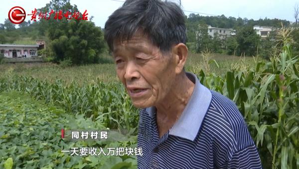 高薪工作，可能是致命诱惑！贵阳一男子误入缅北至今未归……