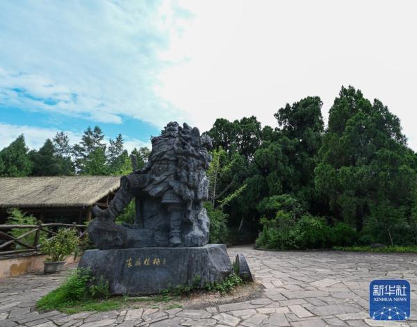 剑门蜀道翠云廊 跨越千年 苍翠如昔