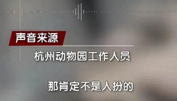 “人里人气”!动物园的黑熊是人扮的?官方回应 “人里人气”!动物园的黑熊是人扮的?官方回应