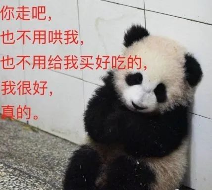 杭州小熊被指“人里人气”!网友:你是忘了会叉腰会揣手的熊猫了? 杭州小熊被指“人里人气”!网友:你是忘了会叉腰会揣手的熊猫了?