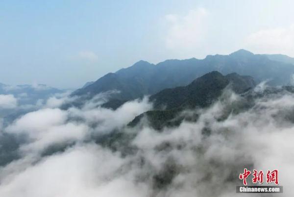 吃过这么多面包,才知道都来自这个县城 吃过这么多面包,才知道都来自这个县城