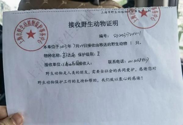 在上海一派出所内大吃8424西瓜!体型巨大的它,来头也不小→ 在上海一派出所内大吃8424西瓜!体型巨大的它,来头也不小→