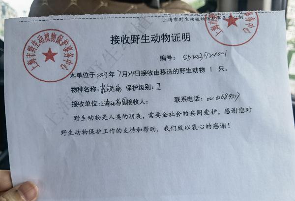 它们获救助后，派出所用8424西瓜款待