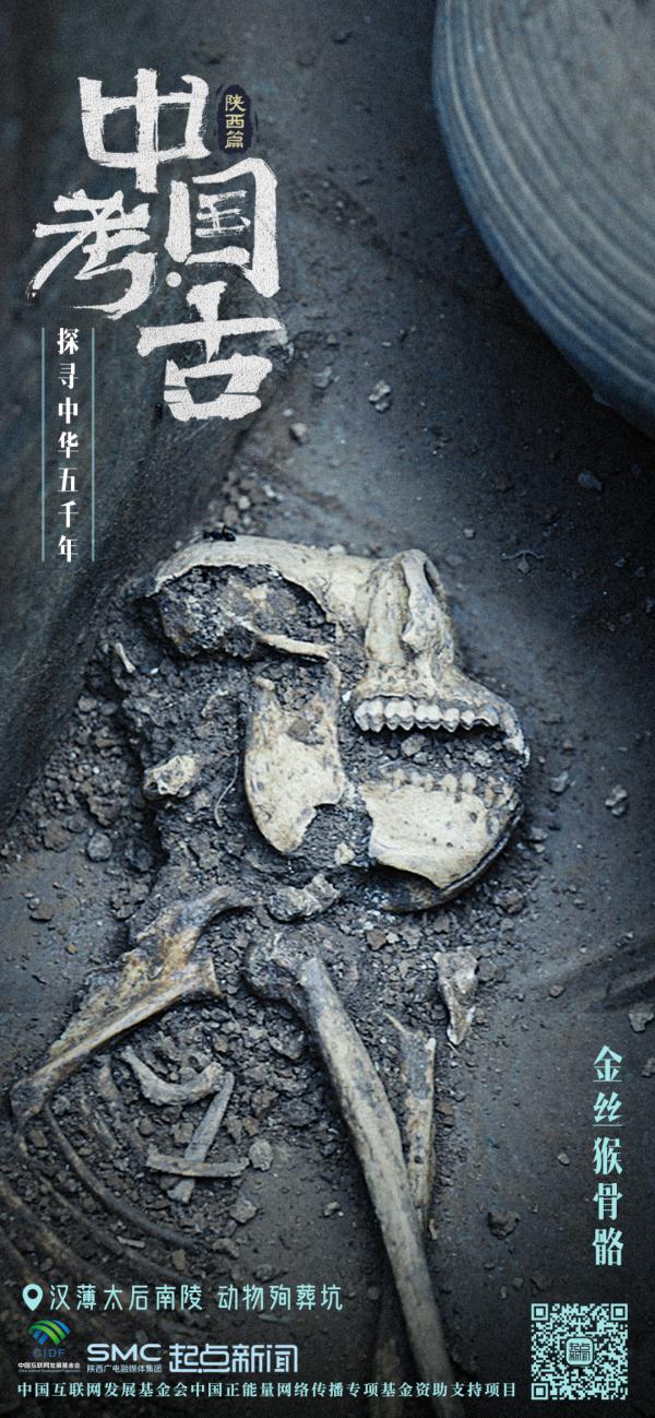 2000年前的“顶流”,被发现了! 2000年前的“顶流”,被发现了!