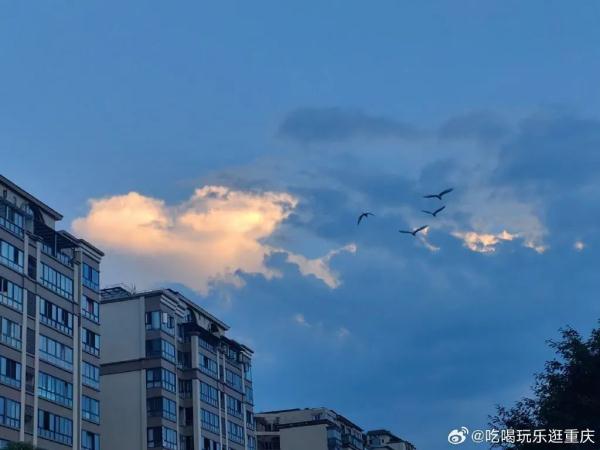 未来三天重庆多阵雨 明天中心城区最高36℃