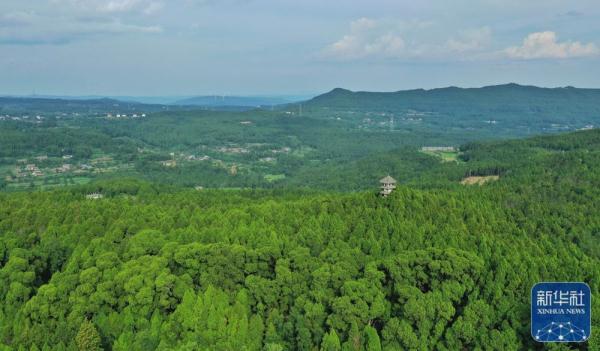 剑门蜀道翠云廊 跨越千年 苍翠如昔