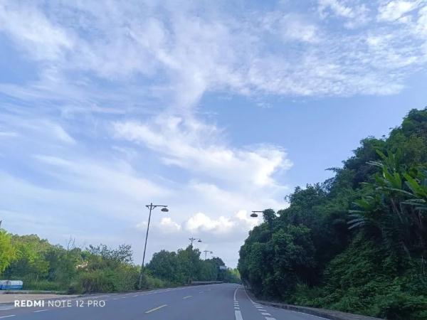 未来三天重庆多阵雨 明天中心城区最高36℃