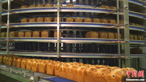 吃过这么多面包,才知道都来自这个县城 吃过这么多面包,才知道都来自这个县城