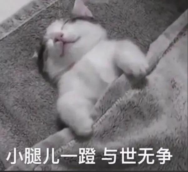 睡觉时总是出现这个姿势?要注意→ 睡觉时总是出现这个姿势?要注意→