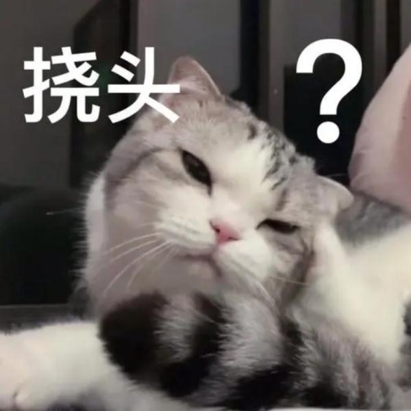 自取还是邮寄？补办身份证花钱就能提前？上海警方回应→