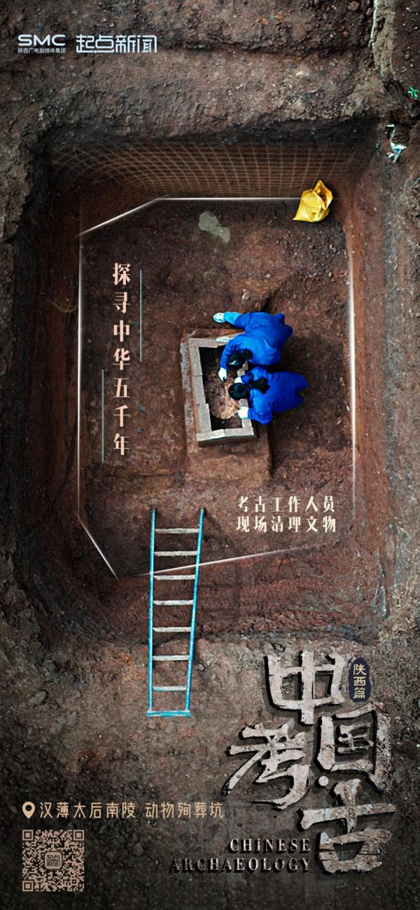 2000年前的“顶流”,被发现了! 2000年前的“顶流”,被发现了!