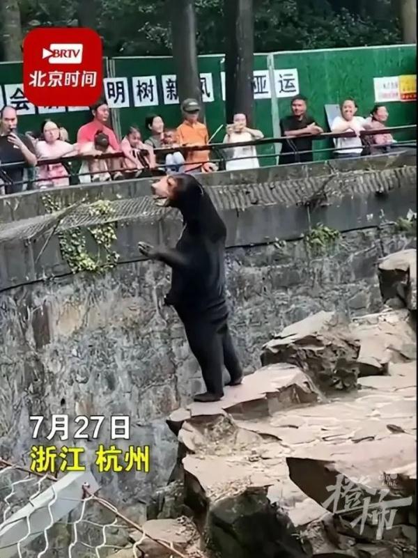 杭州动物园黑熊被疑是人扮的，站笔直挥爪和游客互动，园方回应