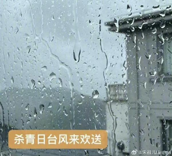 玩“台风梗”?两明星道歉 玩“台风梗”?两明星道歉