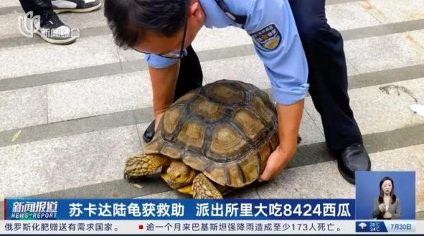 "终于开口了！"在上海派出所内大嚼8424西瓜，来头果然不小→