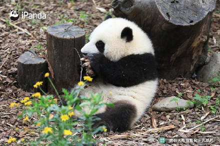 花花洗澡全国人民都知道了