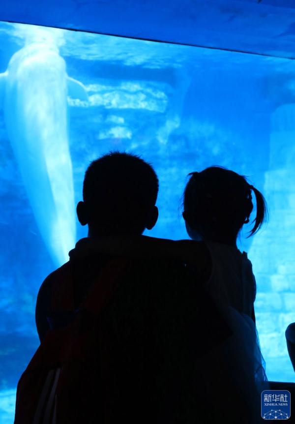辽宁大连：极地馆里享清凉