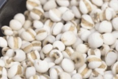 喝玉米须茶、薏米水，年轻人钟爱的祛湿气秘方，真的有用吗？专家释疑