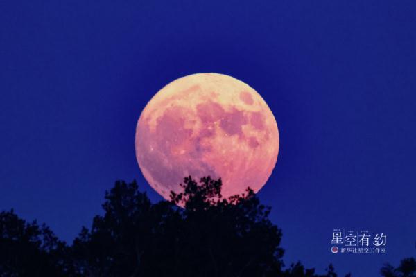 星空有约丨“超级月亮”即将现身