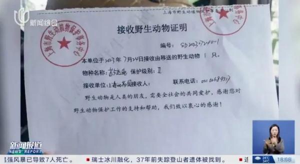 "终于开口了！"在上海派出所内大嚼8424西瓜，来头果然不小→