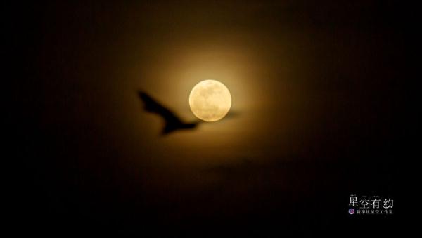 星空有约丨“超级月亮”即将现身