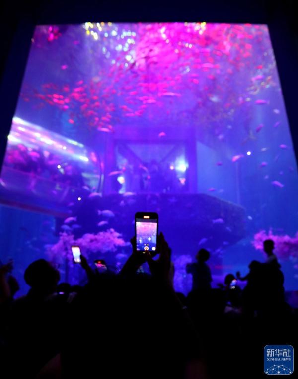 辽宁大连：极地馆里享清凉