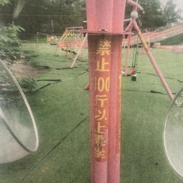 90后家长在儿童游乐场荡秋千，摔成十级伤残谁来赔？法院判了