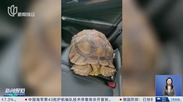 "终于开口了！"在上海派出所内大嚼8424西瓜，来头果然不小→