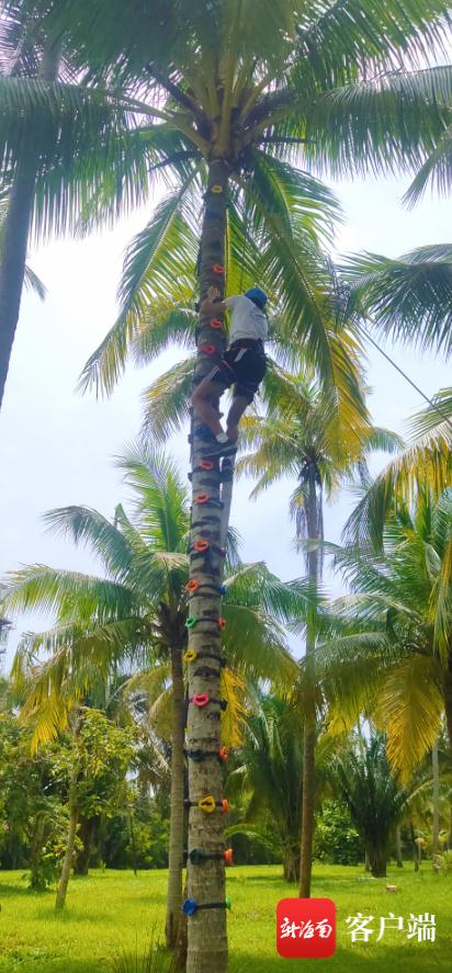 打排球、爬椰树、逛孔庙……这个外国球星爱上文昌! 打排球、爬椰树、逛孔庙……这个外国球星爱上文昌!
