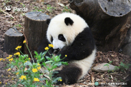 花花洗澡全国人民都知道了