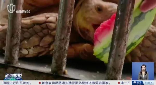 "终于开口了！"在上海派出所内大嚼8424西瓜，来头果然不小→