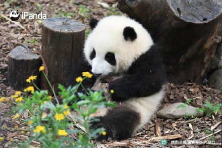 花花洗澡全国人民都知道了