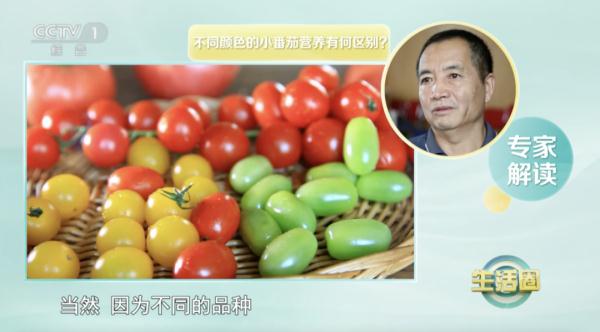 常吃番茄能防4种癌？前提是你得吃对！
