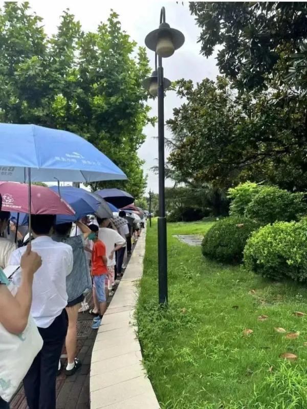 凌晨四点就有人排队，价格可高达数万元……上海这个特别的展览大热