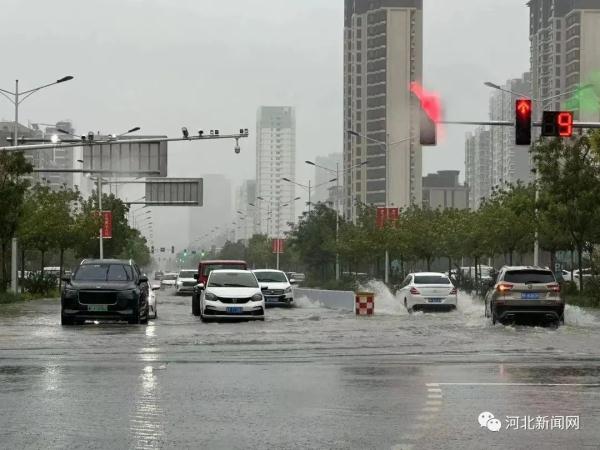 河北这群人，刷屏朋友圈！