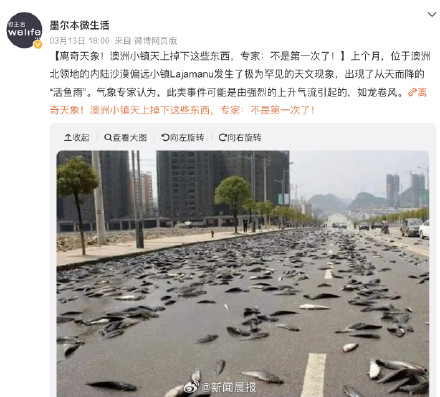 台风吹来的遍地生蚝能不能吃？